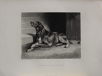 Waiting for the countess