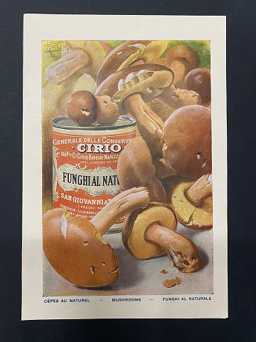 Funghi al naturale