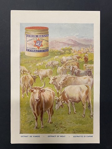 Estratto di Carne
