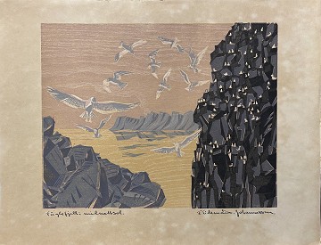 Frithjof Tidemand-Joannessen. “Fuglefjell i midnattsol”