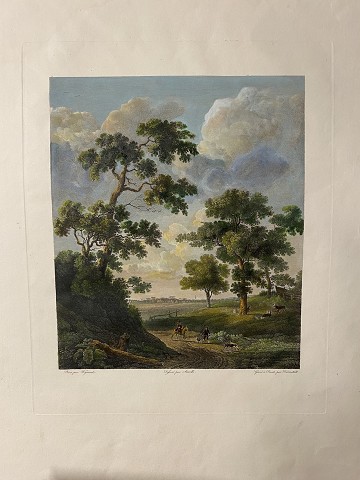 Pesaggio campagna francese