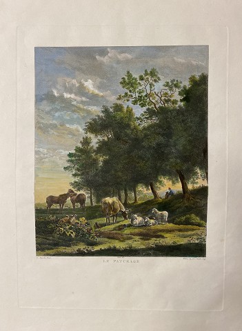 Paesaggio- Le Paturage